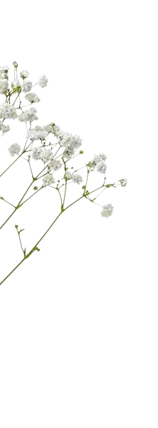 Decoration