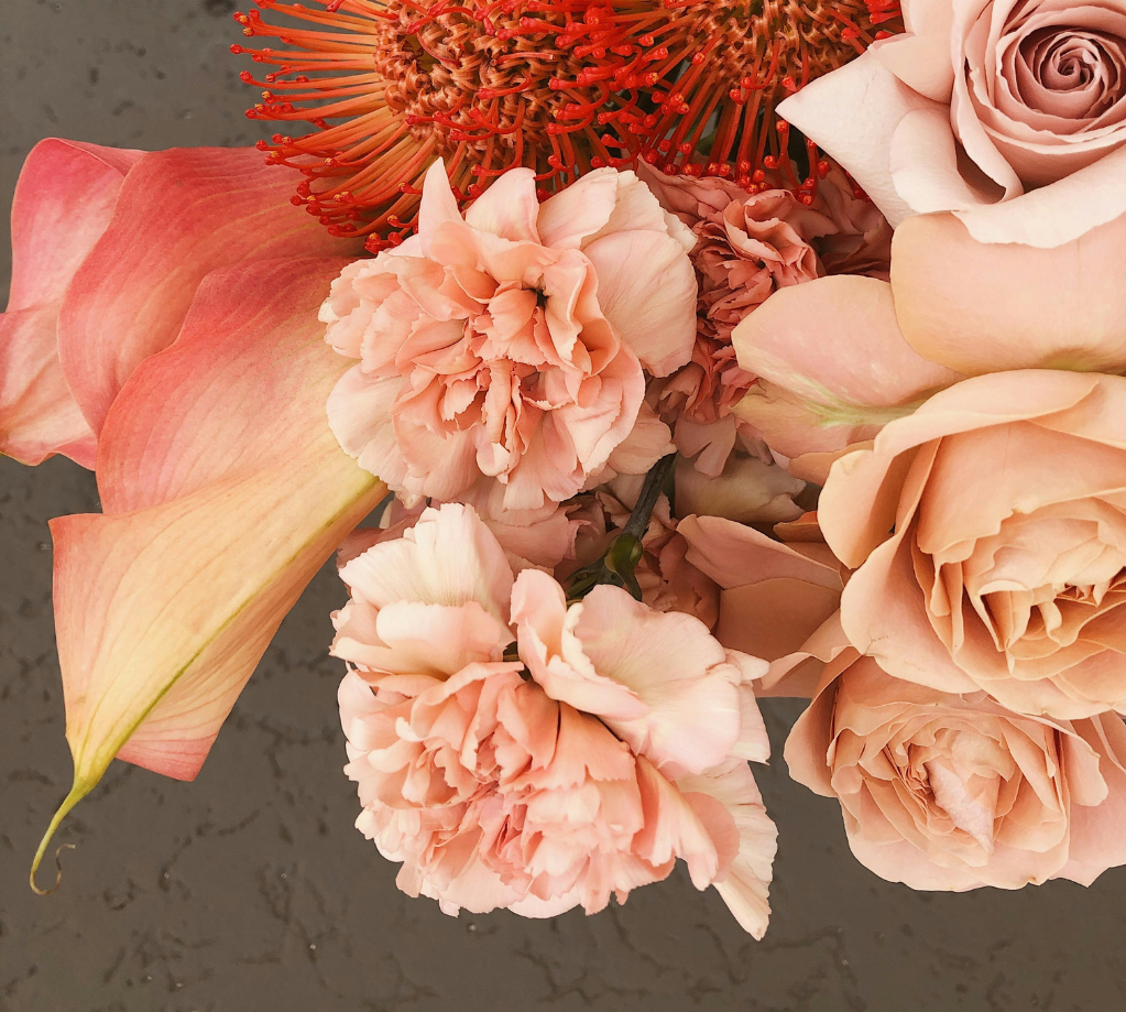 diseño sin título (10)