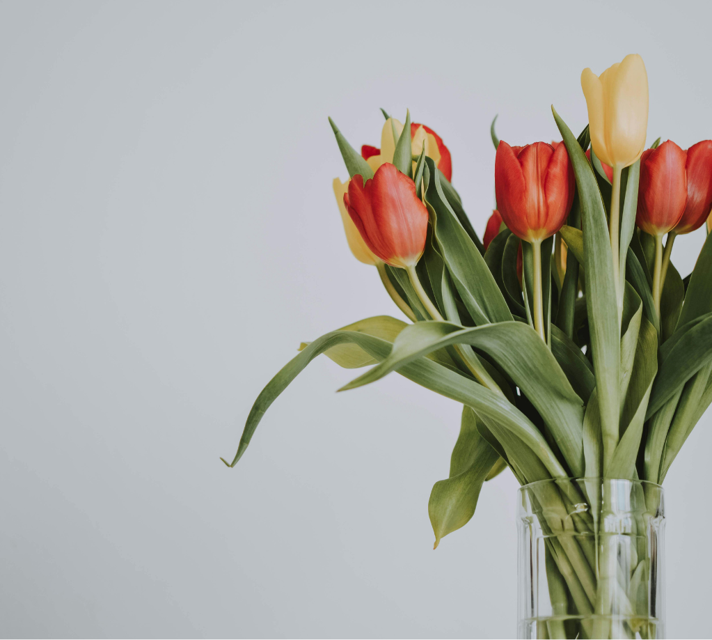 diseño sin título (8)