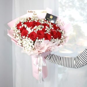 mini san pedro cactus